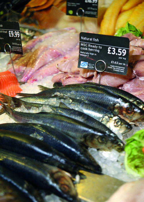 Sainsbury&#39;s fish counter with MSC certified herring
